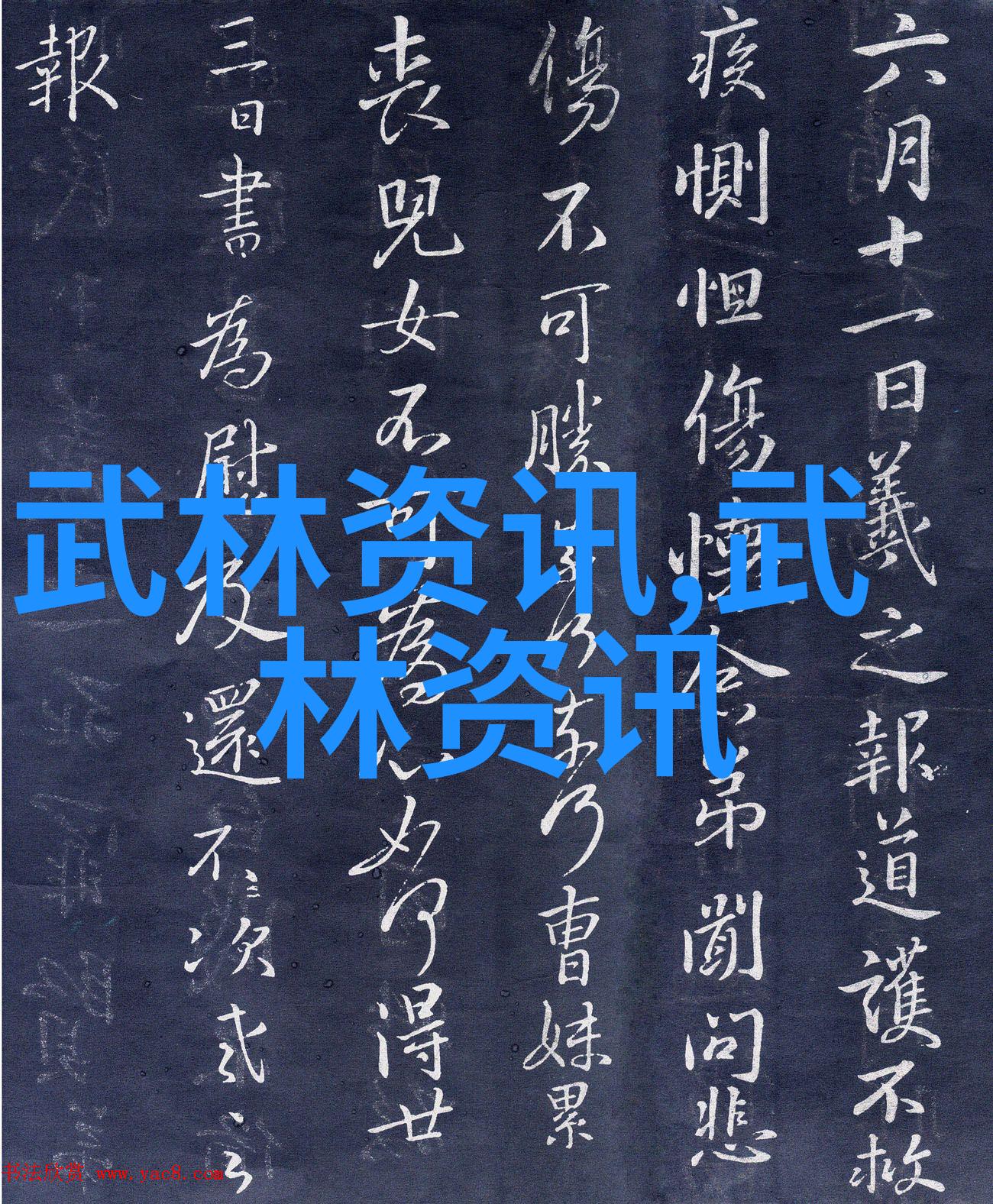 武林八大门派掌门人传说中的智者