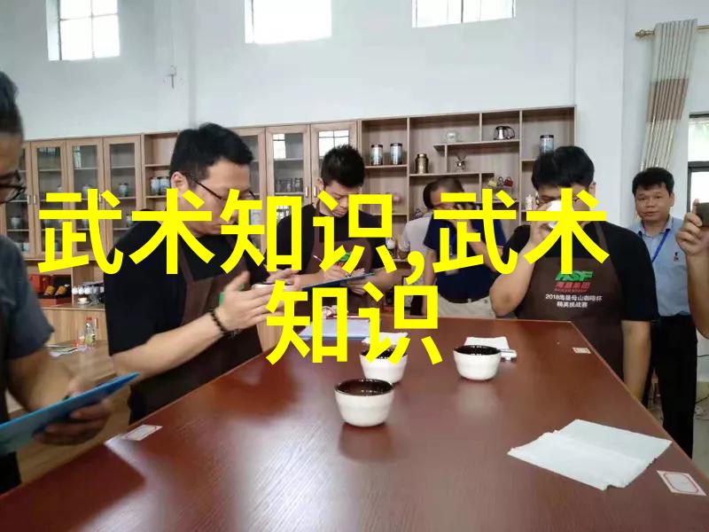 太极拳24式慢动作详解深入探索传统中国武术中的内在力量