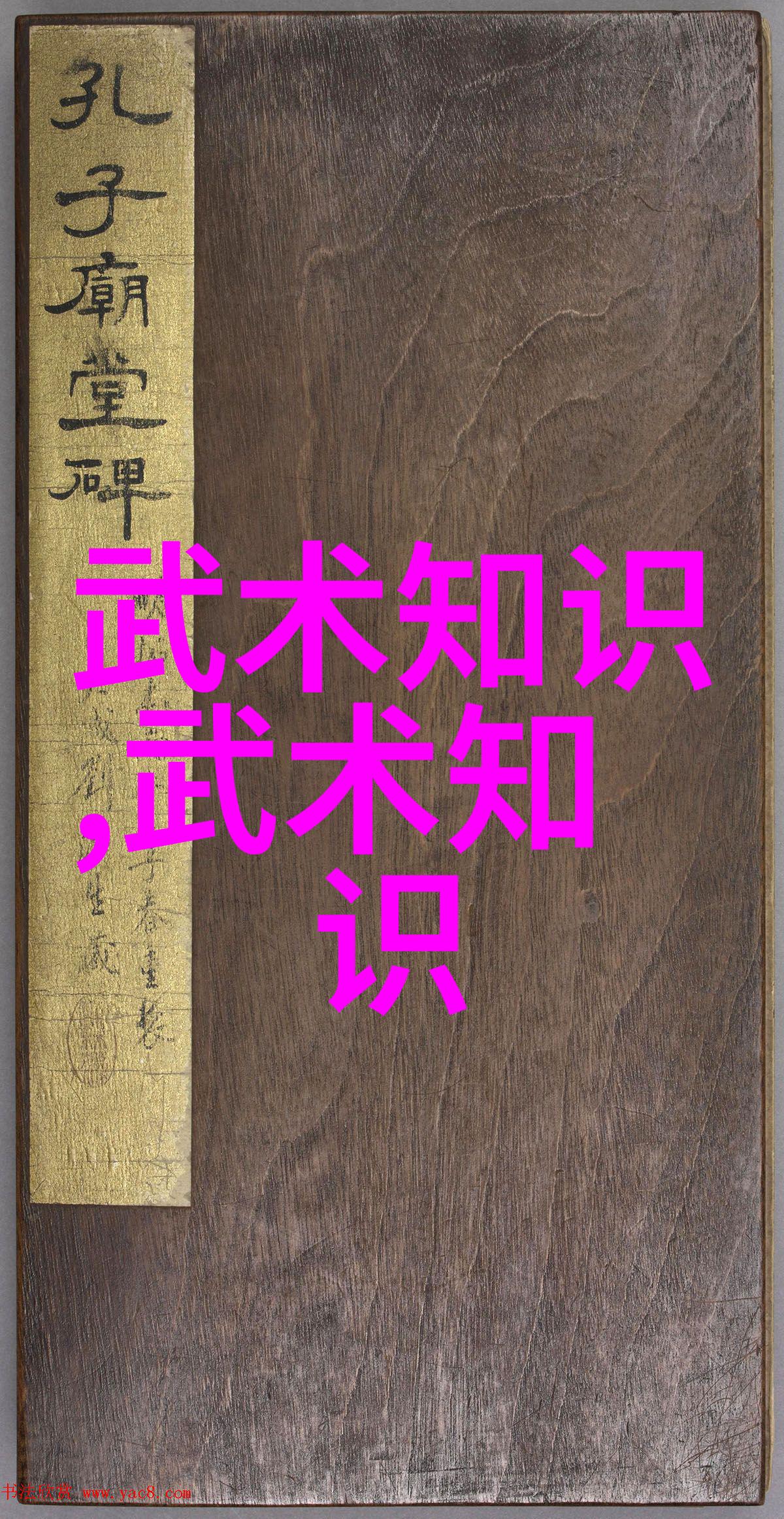 追逐卓越历经辉煌与挫折你认为哪个角色更适合成为主角呢