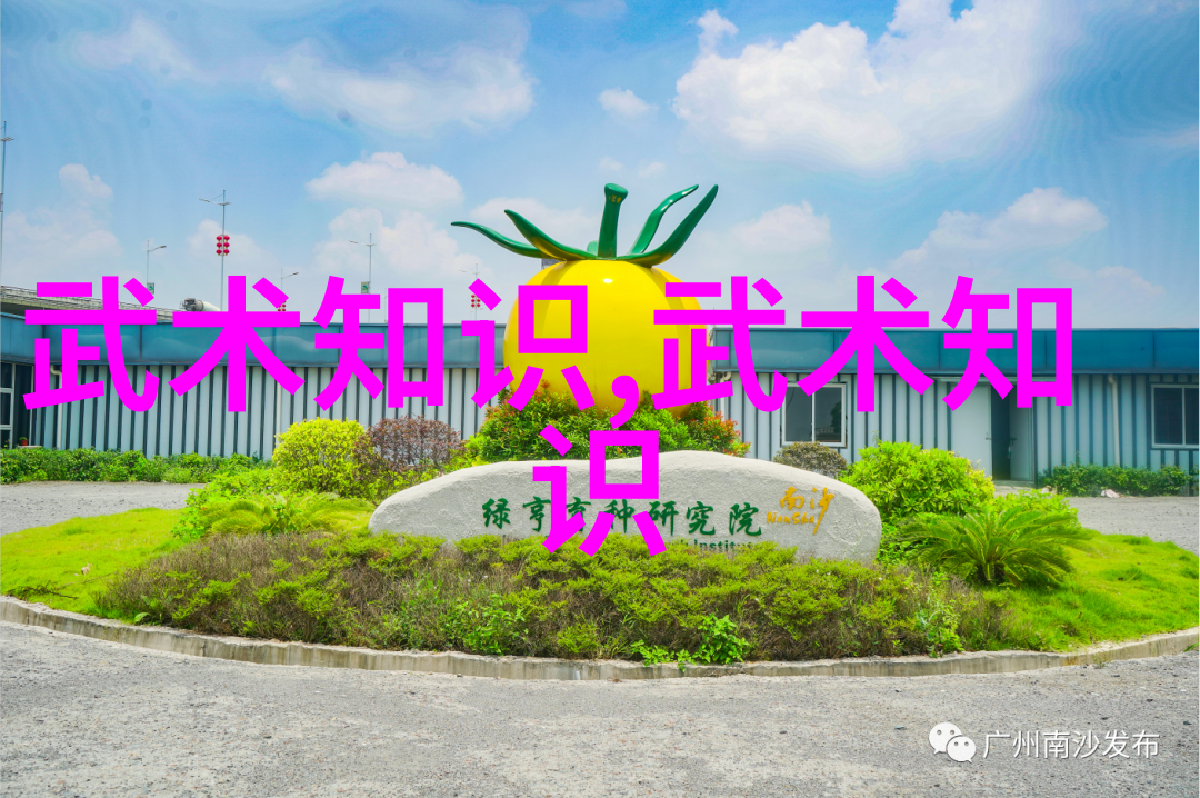 武林绝学汇编揭秘千年内功剑法与刀术的巅峰之选