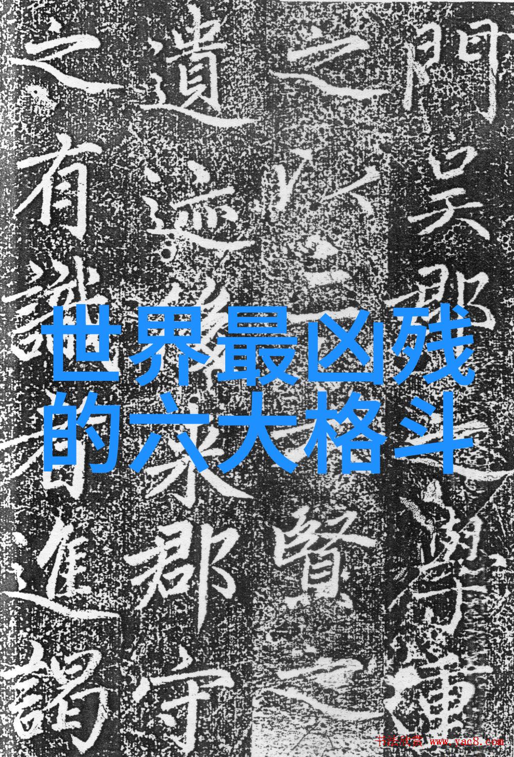 丁家堡寨中的少林弟子江苏藏族武术之谜
