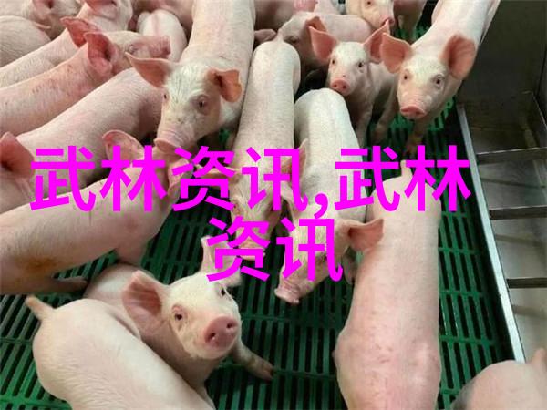 李雯雯夺金中国举重7金1银收官国家女举夏训强化体能筑牢根基