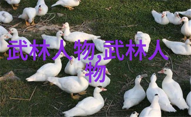 张禹飞冯秀茜的混元太极拳练轻功最快的方法面面观