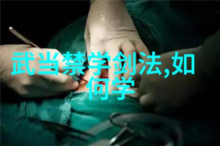 金鸡独立银蛇横行分析外家与内家的不同训练方法和技巧对比