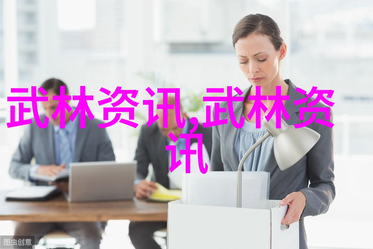 武林秘籍48式一部详细解析了全部动作及其背后的哲学智慧的书籍简介