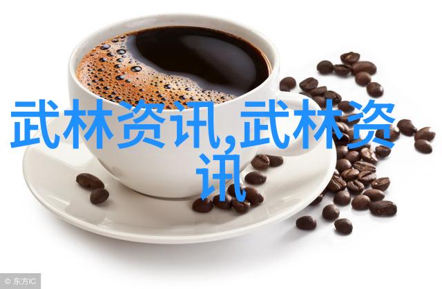 武林秘籍门派纷争与内功探秘