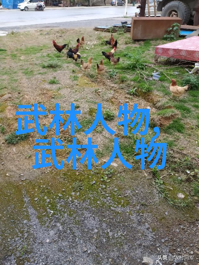 中国武术流派南拳功夫的传人