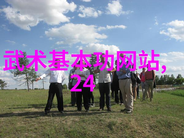 形意拳的巅峰之战各流派比较