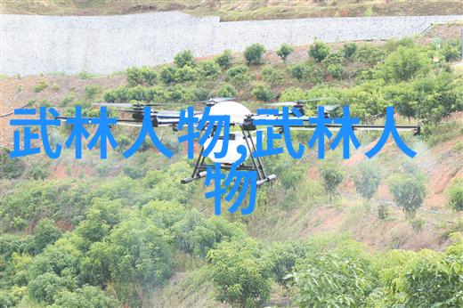 主题李小龙的功夫教学视频你也能学会吗