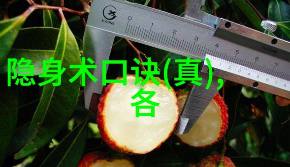 太极拳之美邱慧芳教授的24步精髓