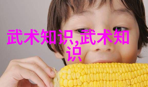揭秘中国武术宝库全国各大门派的精髓与特色