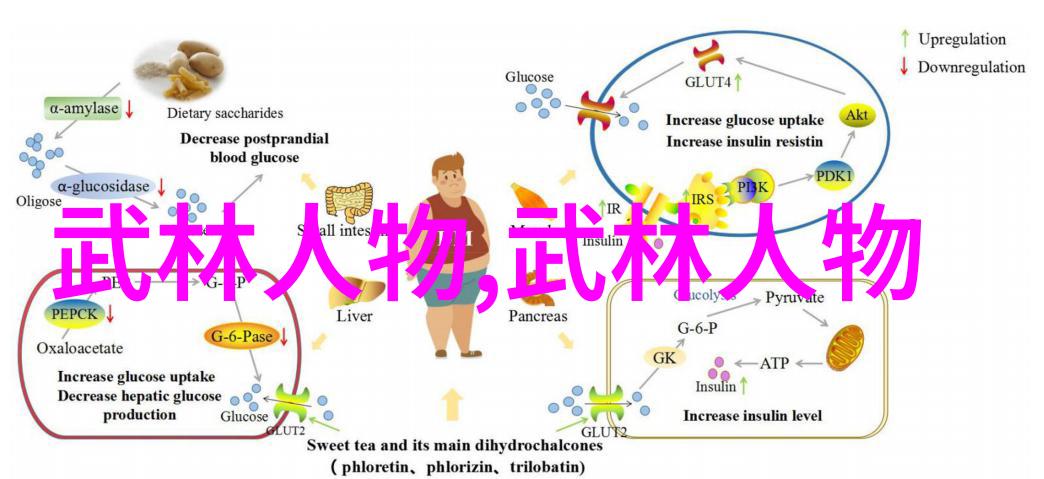 中国武功怎么练-精通内功外功的修炼之道