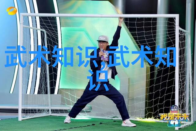 内家外派探索中国古代武学流派