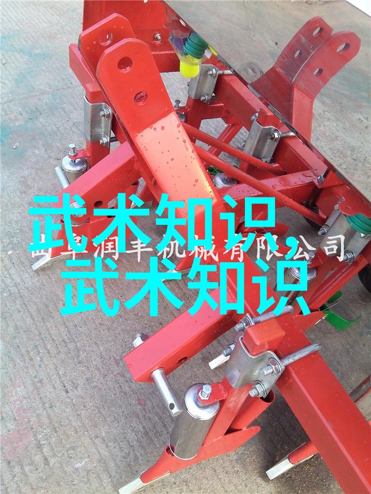 武术精髓传承功夫秘籍教学的艺术与实战