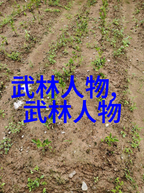 在历史长河中诞生的传奇手段如何评估不同的战技