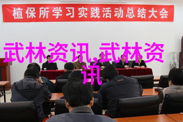 探索太极拳24式图解的艺术魅力与健身益处