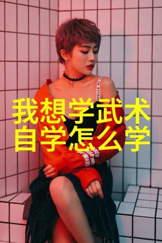 揭秘中国功夫中的拳法艺术从五行至八卦掌的奇妙世界