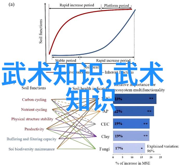 中国武术的丰富多彩揭秘流派之谜
