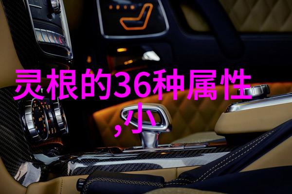 揭秘太极24式从正面到背面的武学奥义