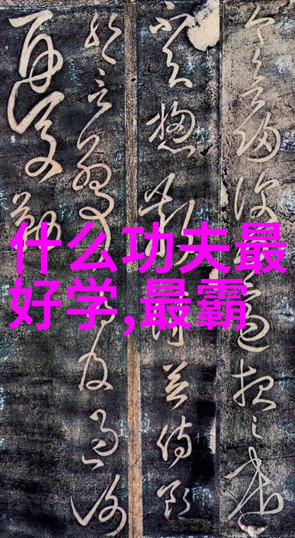 太极拳24式名称顺序图解 - 揭秘太极拳经典套路的每一个动作