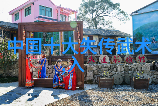 中国传统武术拳法的健身效益