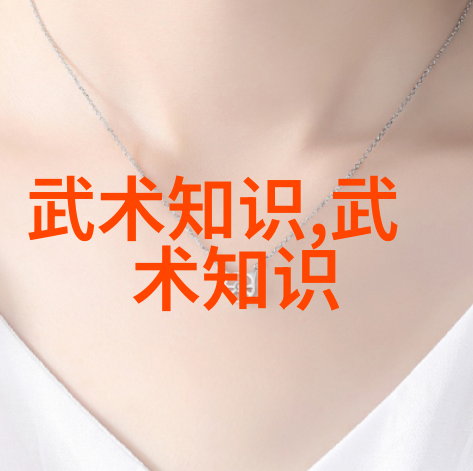 武功秘籍网炼体悟道的修行者们
