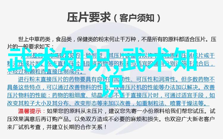 中国武功的秘密练就一身好招数