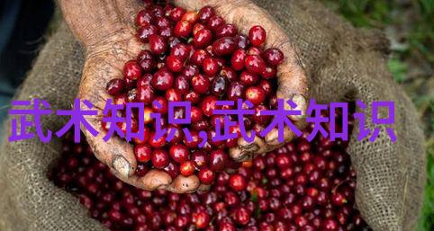 一怪二圣三尸四奇五绝穿越古典名言的奇幻旅程