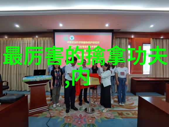 湖南武术门派之谜寻踪古老功夫的秘密