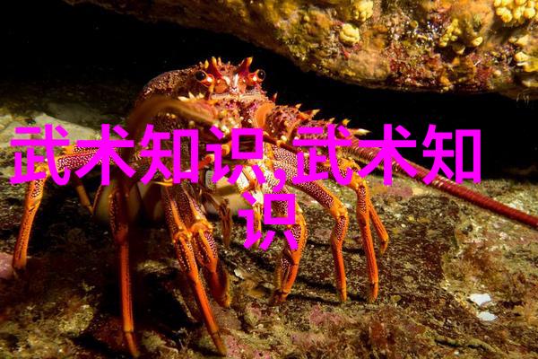巨型屏幕长期租赁免费观赏无限视觉盛宴