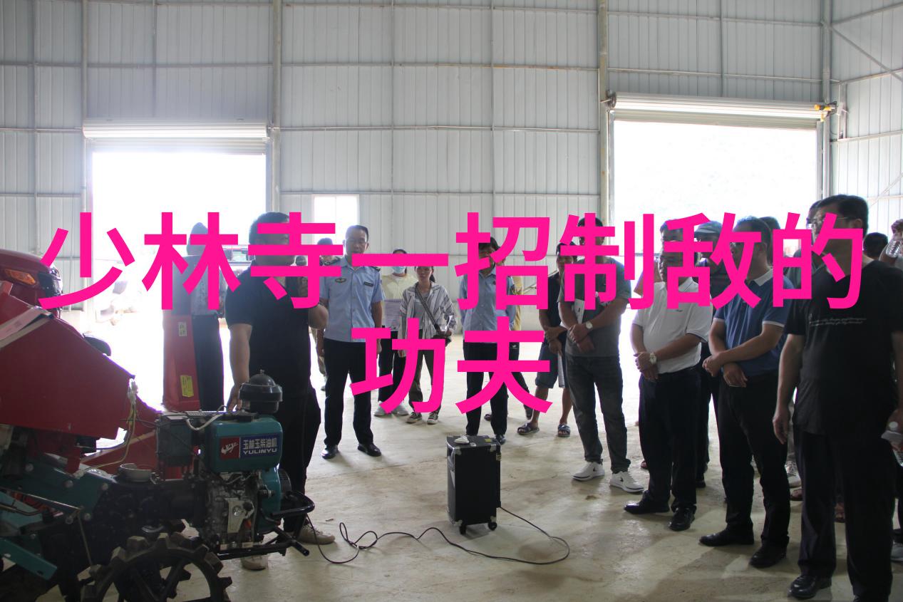 中国武术中的拳法艺术中华古老的搏击技巧