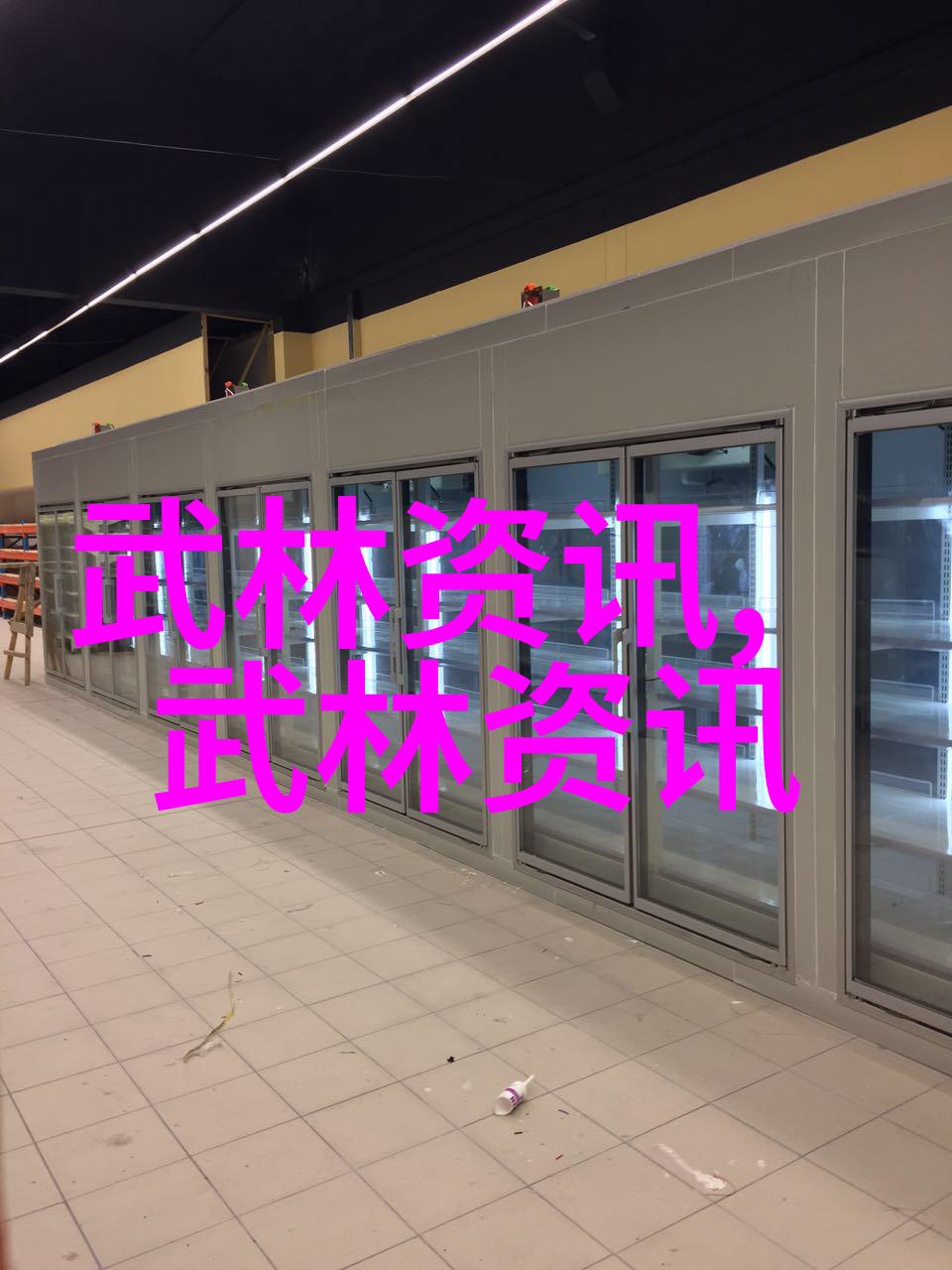 文化保护者现代武林中的典范掌门人物探索