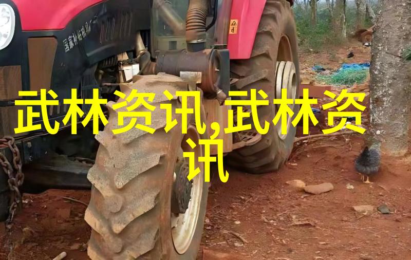 武林门派千秋盛名探秘江湖深处的绝学与传承