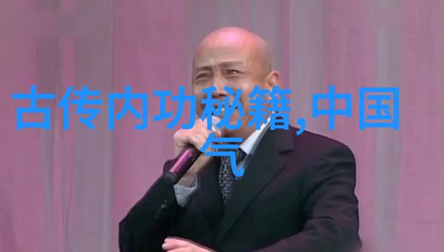 湖南武术门派长拳刀马双俏