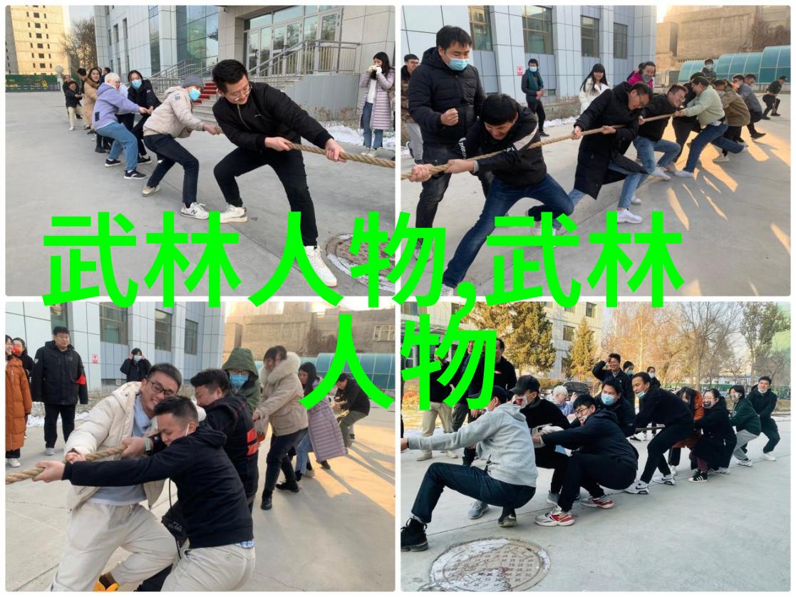 中国武术十大门派传承与实践的艺术之冠