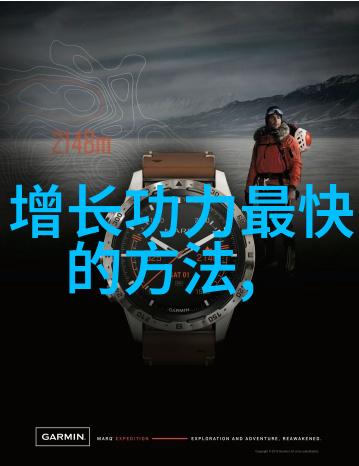 湖南武术门派何氏弹腿秘笈