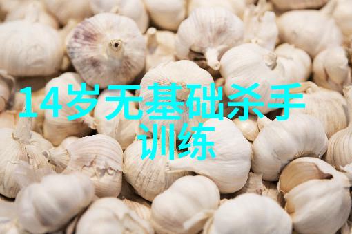 世界上最强武功之谜探秘东方仙法与西方剑术的极致