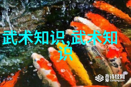 中国功夫门派实战排名-内外兼修揭秘中国武术门派实战力强弱