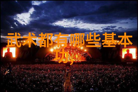走进咏春拳法世界体验生命之韵