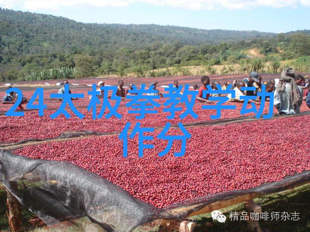 武功秘籍网太极炼心在自然中寻根发芽