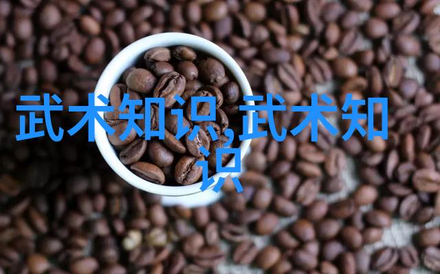 南拳与华拳哪路派手更强