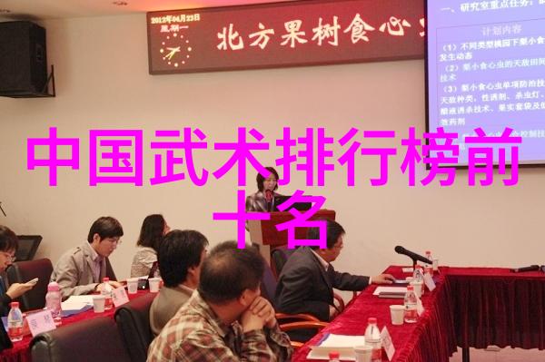 武林探秘-安徽古刹下揭秘武林门派的踪迹
