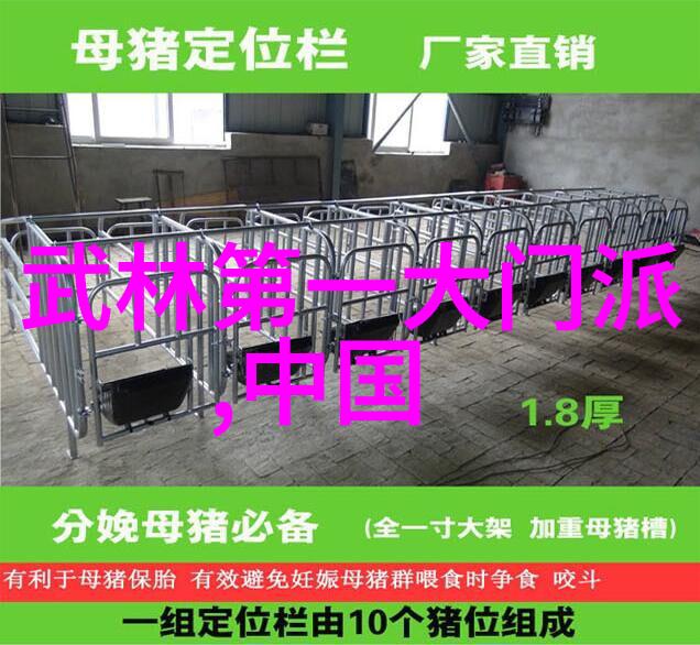 武当全真龙门派传人如同江湖中的指南针引领着内家拳的精髓与艺术