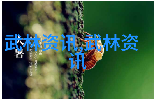 武术万维网官网你松开它能自如合上吗