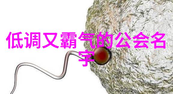 社交圈子的重建者如何加入一个和谐的休闲养老帮派