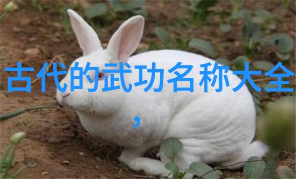 古韵悠长创造一份好听又儒雅的帮会名字有哪些秘诀
