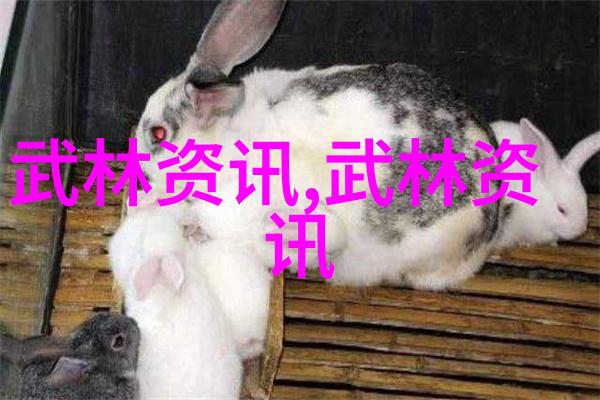 梦影绘家仙气飘飘的家族传说