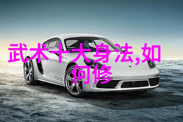 中国功夫秘籍大全揭秘内家拳法之根源
