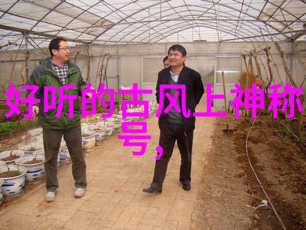 医疗器械市场的繁荣与二级注册证书的重要性
