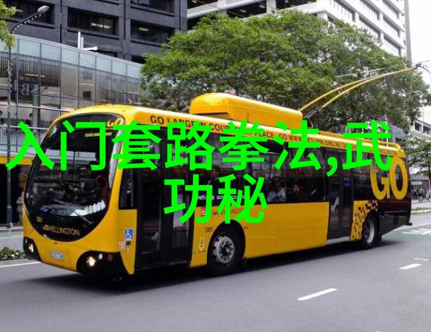 少林武功秘籍大全 - 揭秘古老武林少林武功秘籍大全解析